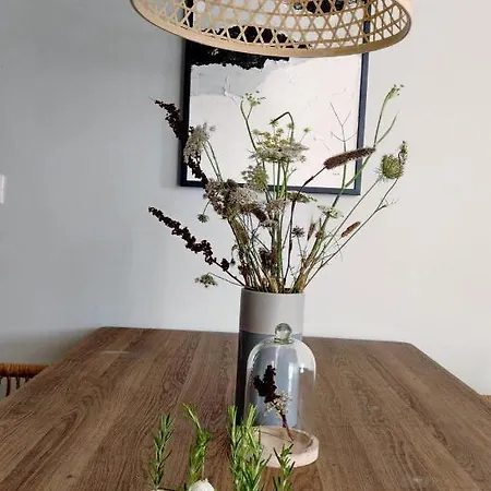 Appartement O'live - Designer